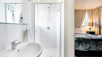 Economy Room | Minibar, soundproofing, iron/ironing board, free WiFi