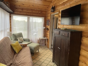 Smart TV, fireplace, books, music library