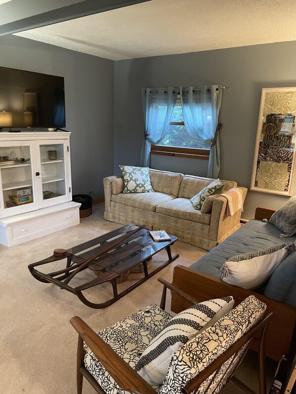 Smart TV, fireplace, books, music library