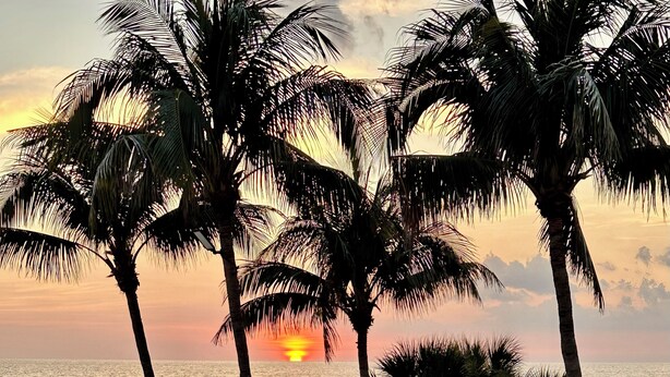 A sunset view with palm trees and a calm sea. - Enjoy a Poolside Luxury Condo and dock, & only a 3 min walk to Vanderbilt Beach. (Naples)