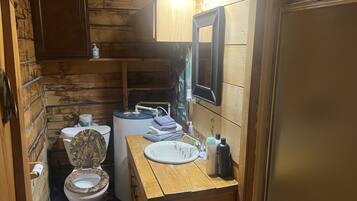 Shower, towels, toilet paper