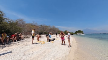 On the beach, black sand, free beach shuttle, sun-loungers
