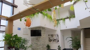 A reception area with a stone wall, a mounted TV, and several potted plants. - Baletna Skola (Kastela)