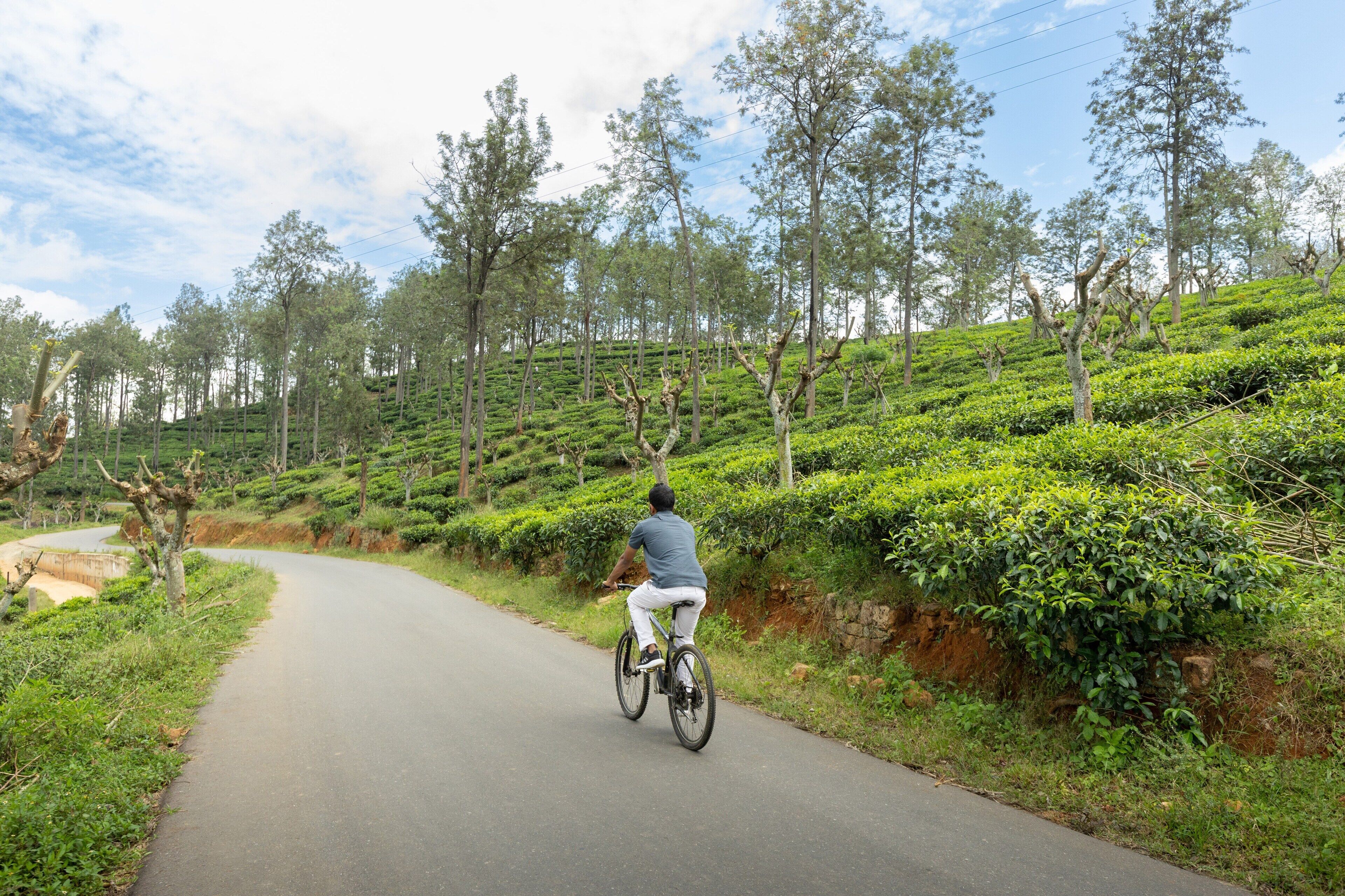 A cyclist riding on a paved path surrounded by lush greenery and trees.