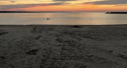 Cozy, relaxing get away close to trails, beach, shopping and restaurants