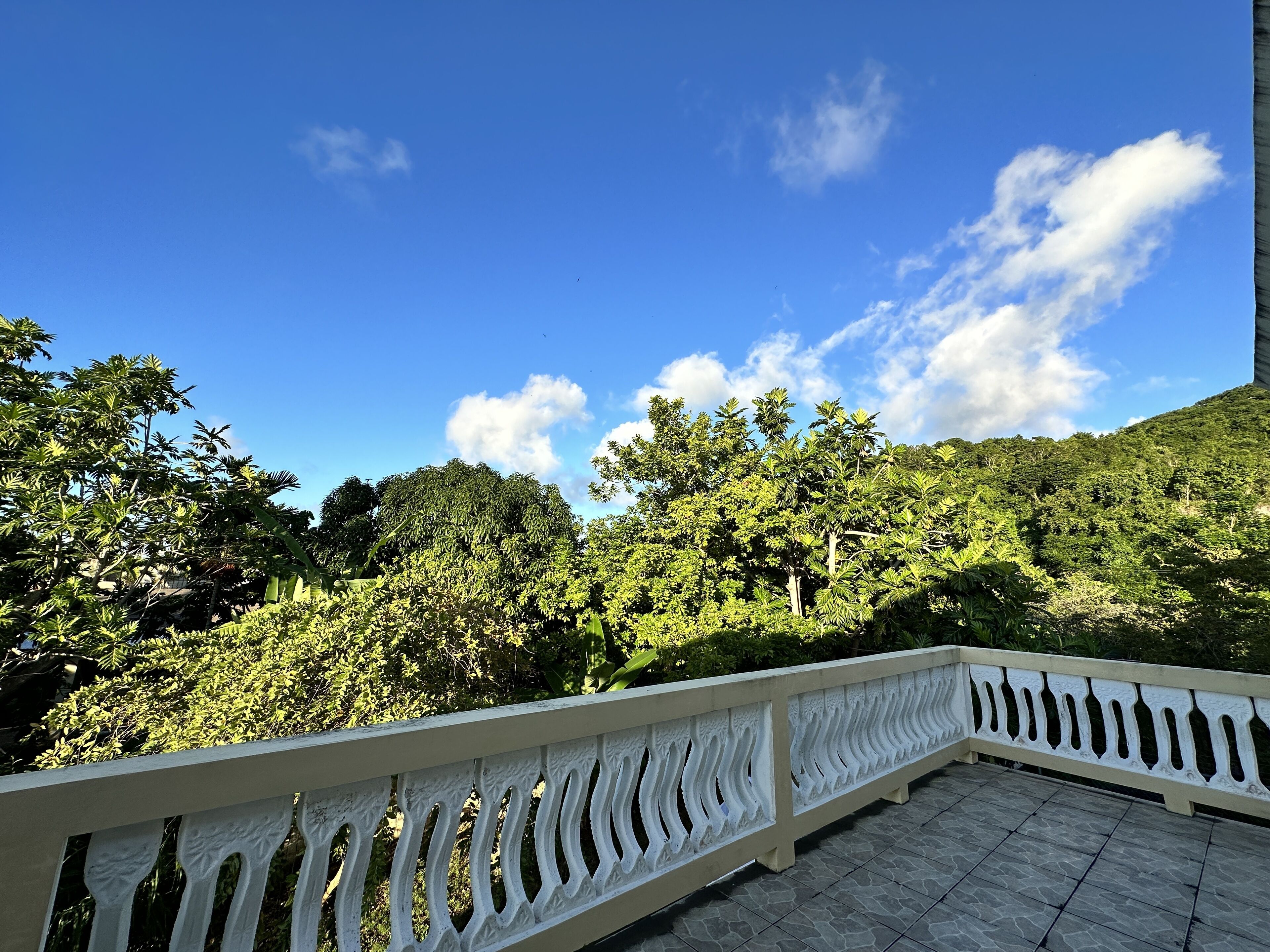 A balcony with a white railing overlooking a lush green landscape and a clear blue sky.