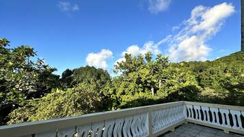 A balcony with a white railing overlooking a lush green landscape and a clear blue sky.