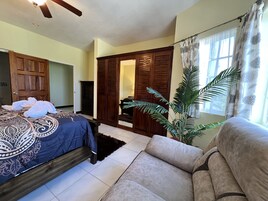Un dormitorio con cama, sofá, una planta grande y un armario.