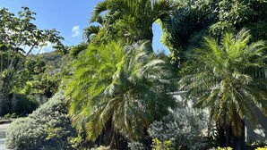 A lush garden with palm trees and various shrubs. - Villa Nilaja (Montego Bay)