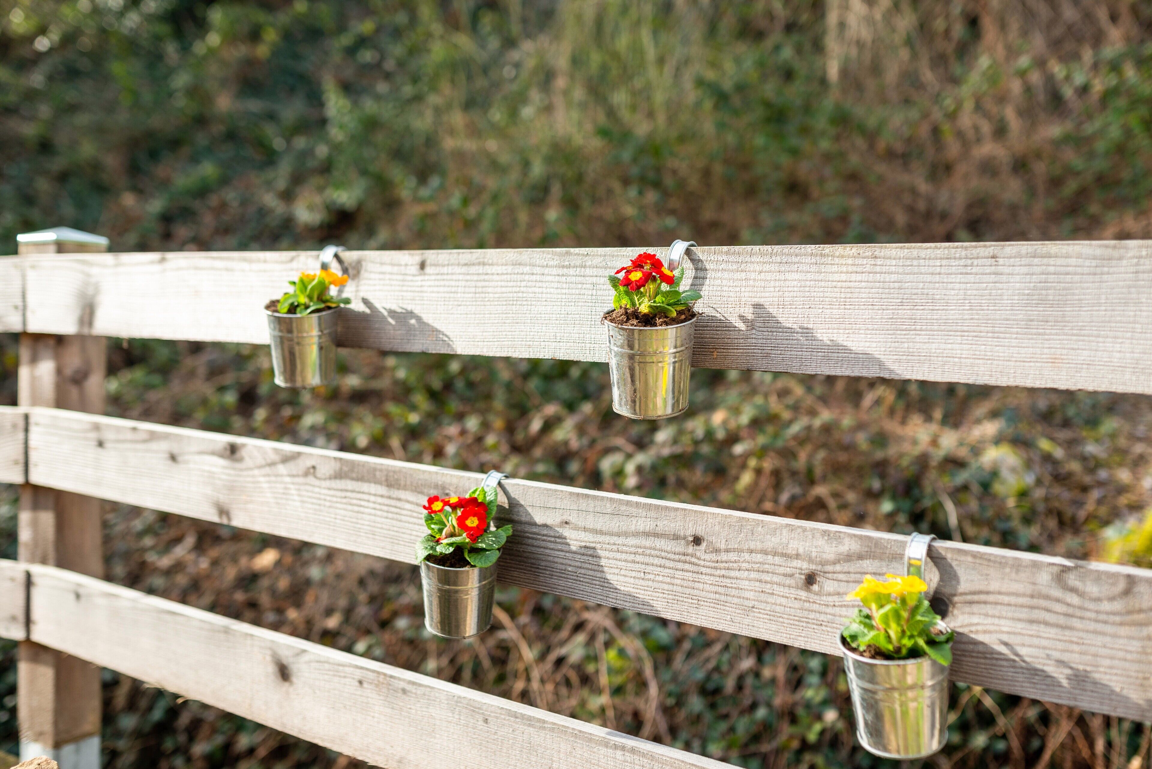A wooden fence with metal buckets containing flowers.