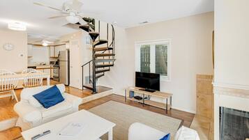 TV, fireplace, books