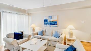 TV, fireplace, books