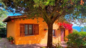 A house with a tree in front, a small garden, and a view of the sea. - Panoramic small house with private pool, situated in the hills above Cortona. Set in a quiet and sec (Cortona)