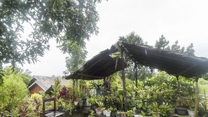 Ein Garten mit einer Holzbank, Topfpflanzen und einem Haus im Hintergrund.