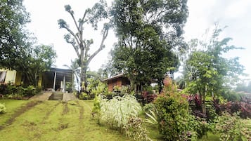 Taman
