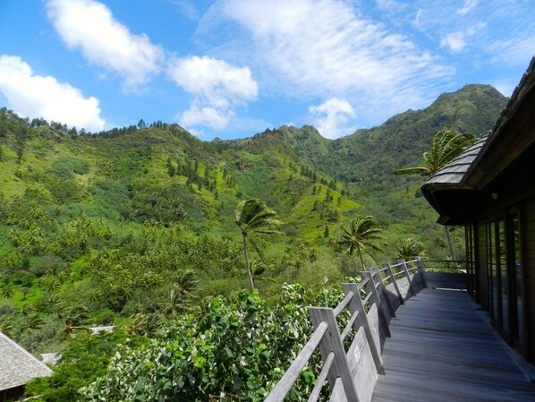 A wooden deck with a railing overlooking lush green hills and a clear sky.