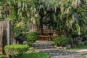 Exterior - Suanpung Bonsai Village (Suan Phueng)