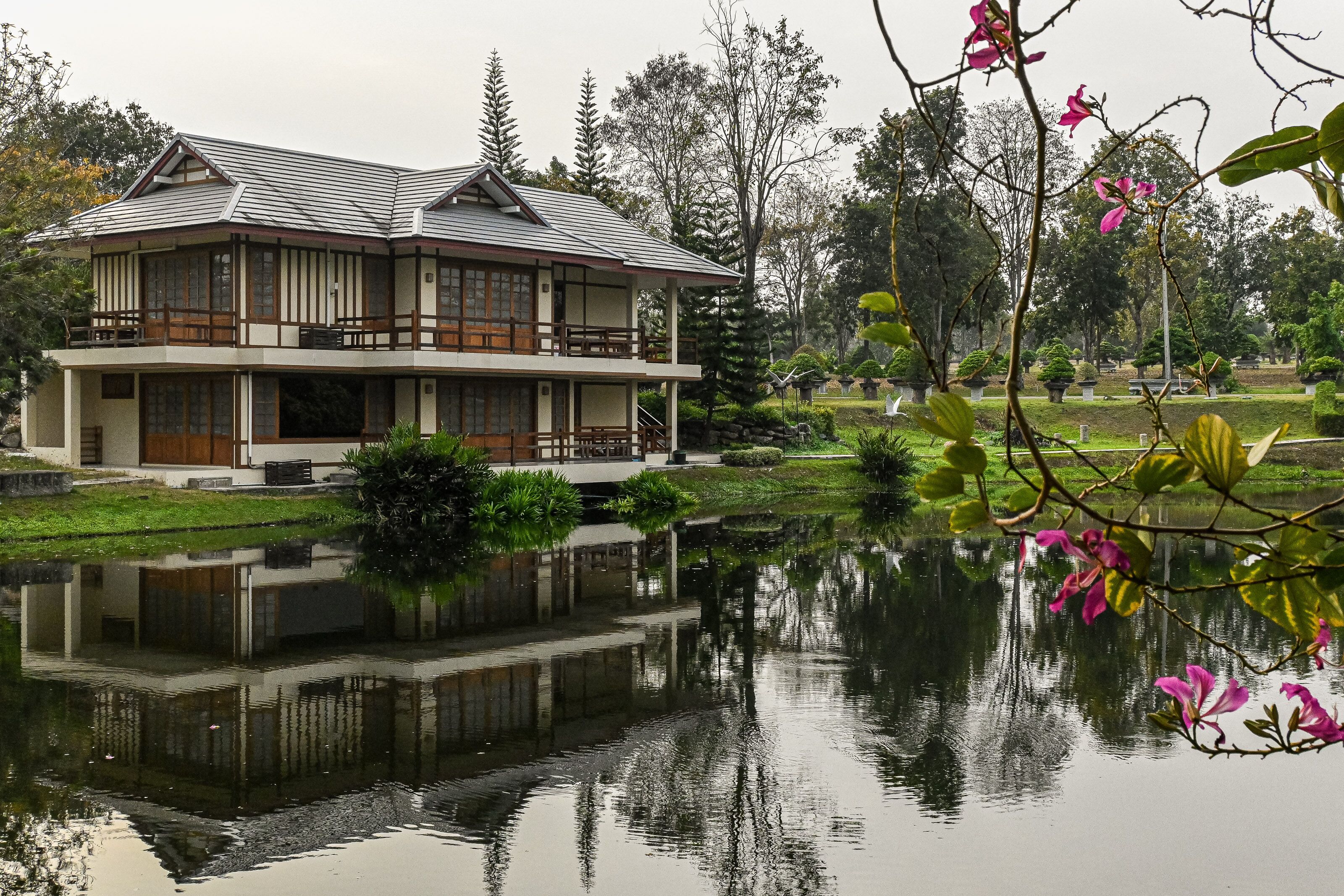 A traditional Japanese-style house with a reflection in a pond, surrounded by greenery and trees.