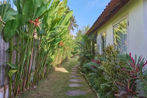 Stroll through the tranquil garden, lined with lush tropical plants and leading to a traditional building with large windows.