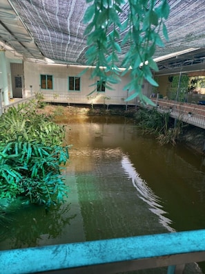 Vista desde la habitación