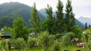 Un giardino rigoglioso con un vialetto in pietra che conduce a un ingresso con cancello, circondato da alberi e con le montagne sullo sfondo.