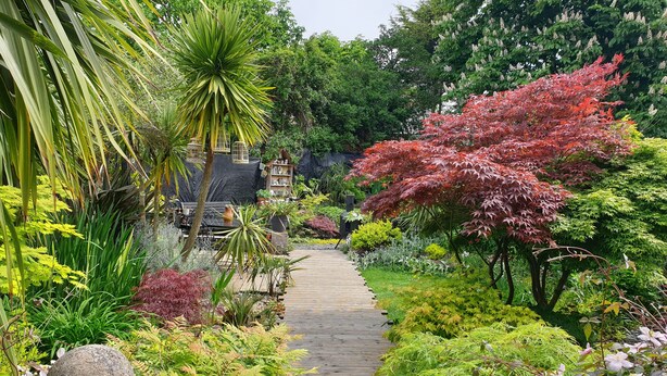 A wooden pathway through a garden with various plants and trees. - Tropical Garden Oasis (Birmingham)