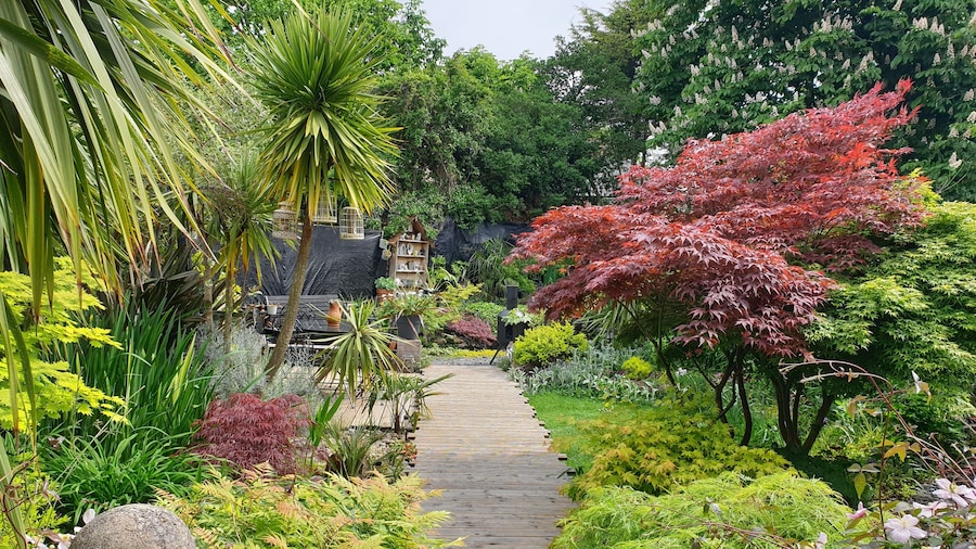 Tropical Garden Oasis