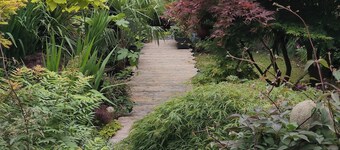 Tropical Garden Oasis