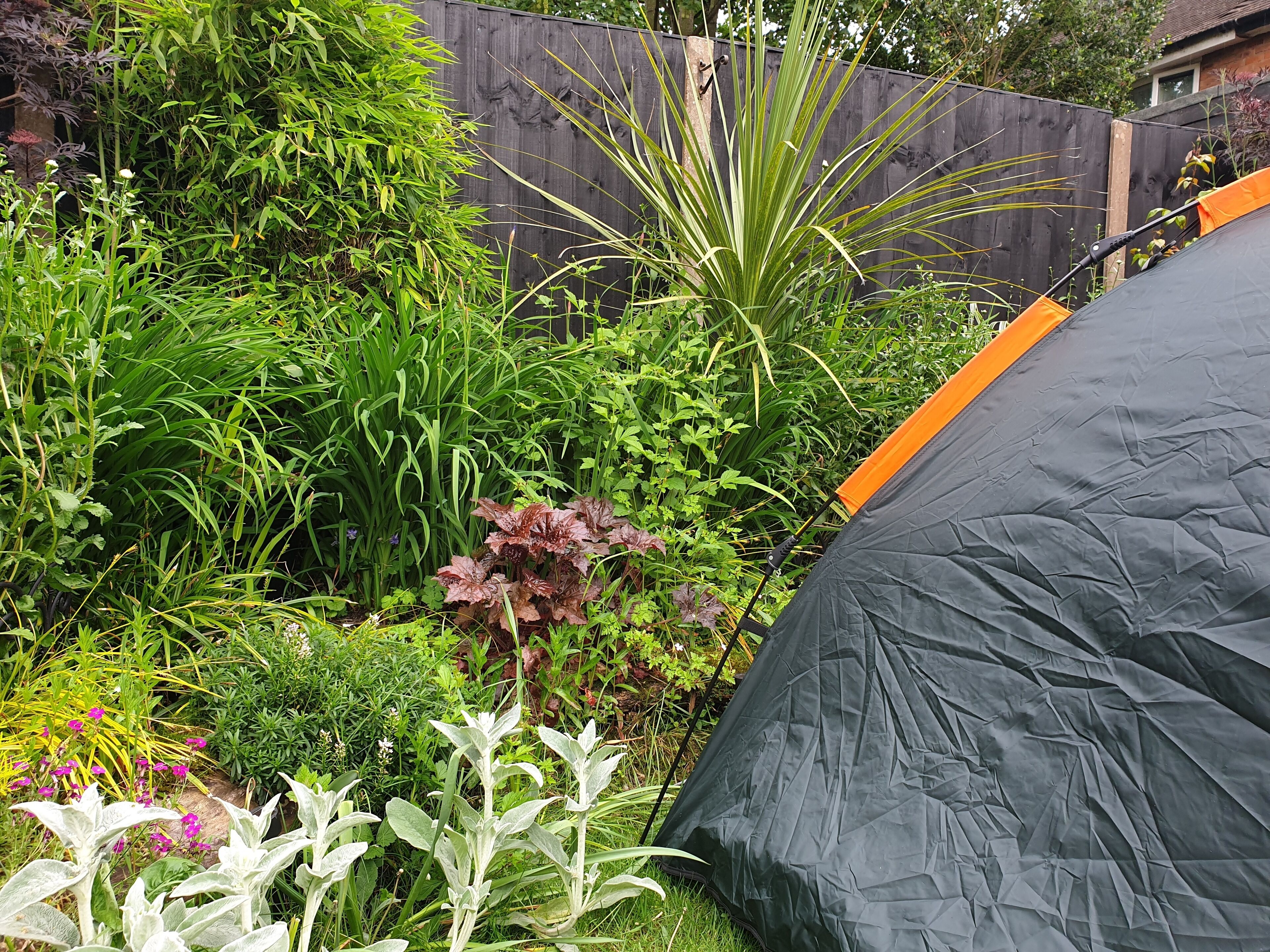 A garden with a variety of plants and a black tent with an orange stripe.