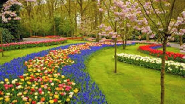 Un jardín con diversos parterres y árboles.