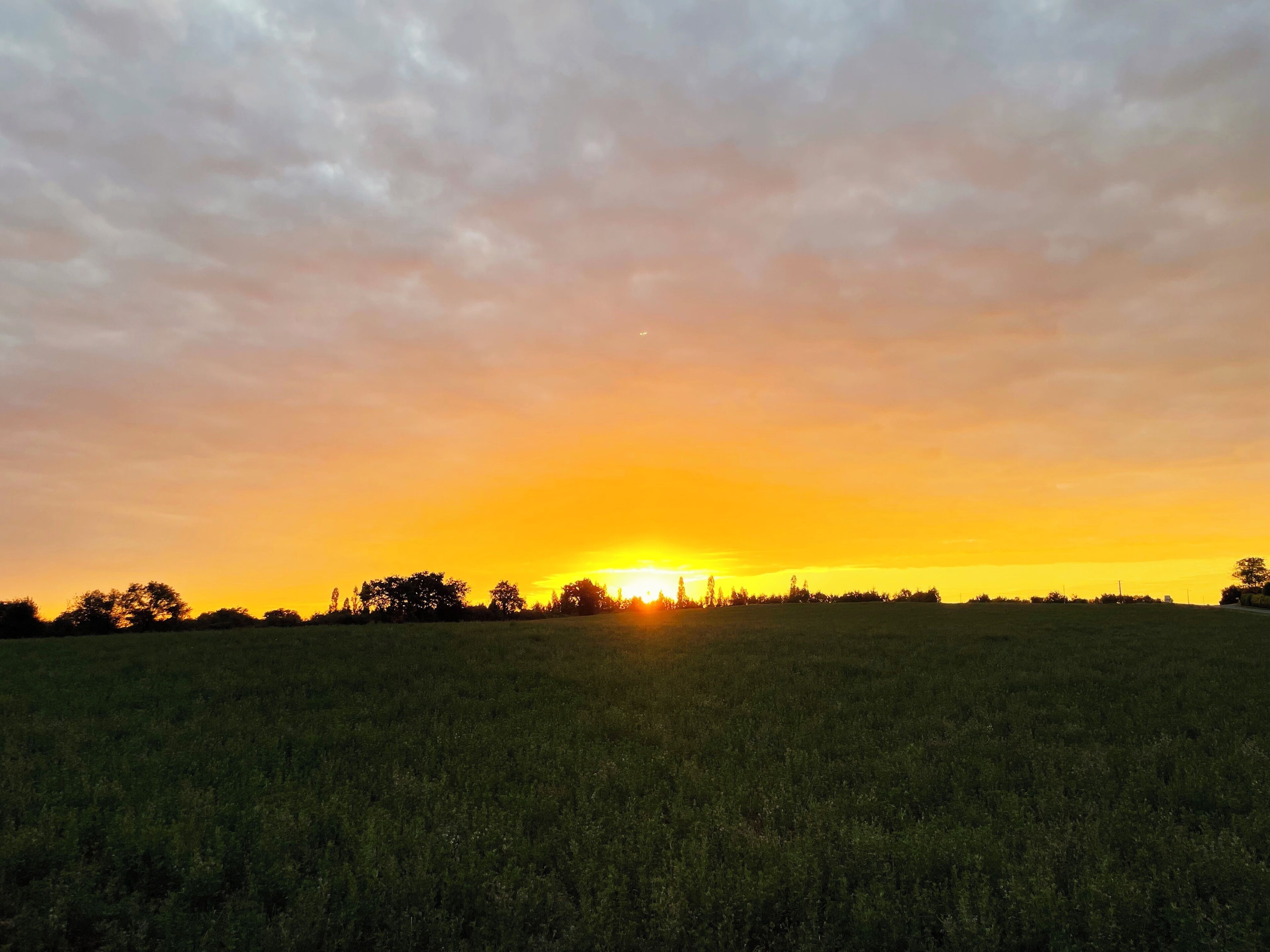 Ein Sonnenuntergang über einem grünen Feld mit Bäumen in der Ferne.