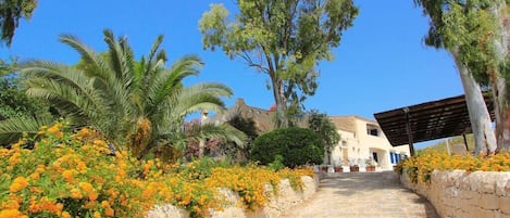 Terrein van de accommodatie