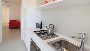 Une cuisine moderne équipée d’une cuisinière à gaz, d’une bouilloire et d’un évier en acier inoxydable.