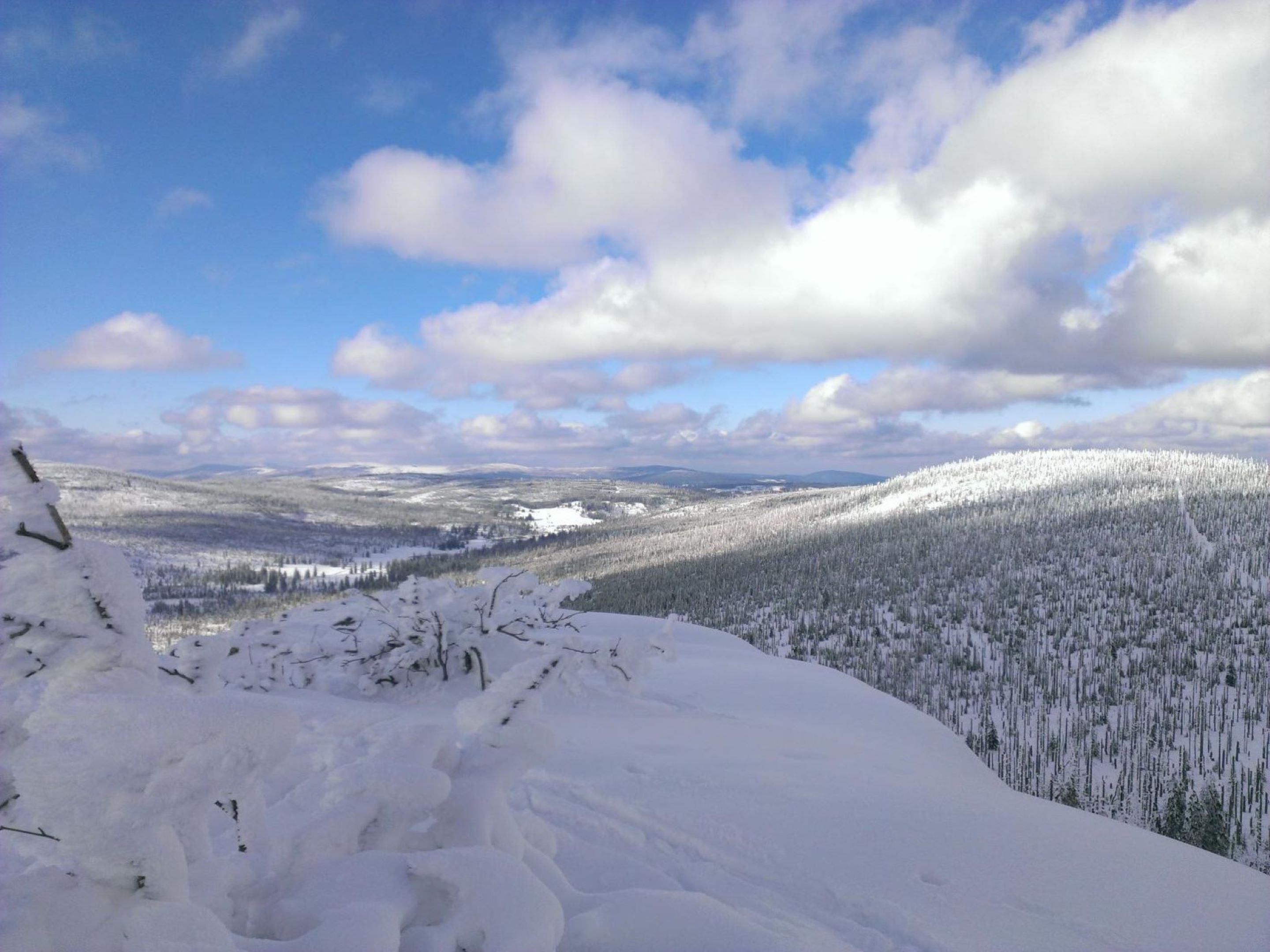 A snowy landscape with a clear view of a forested area and distant hills.