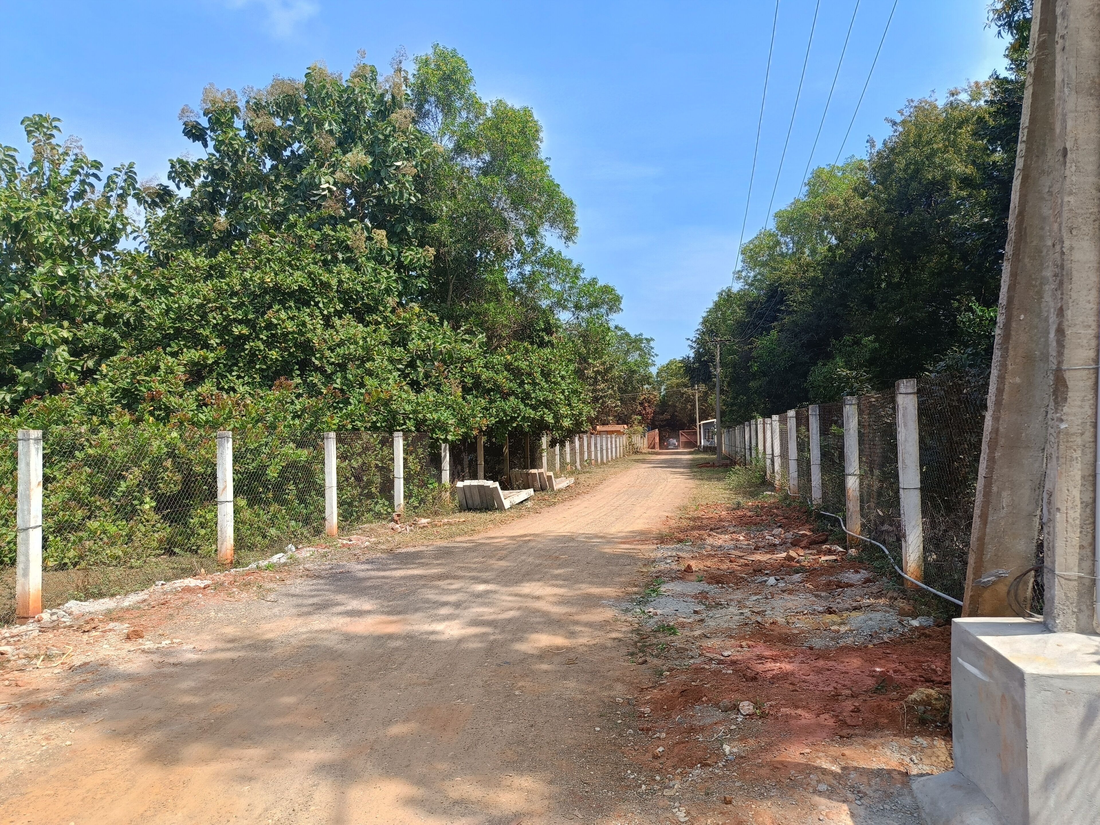 A dirt road flanked by trees and fences, leading to a building in the distance.