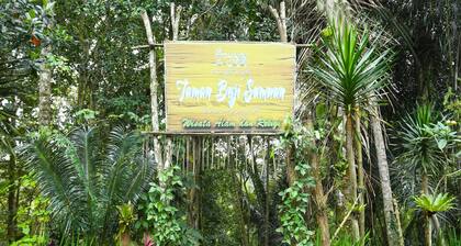 OYO 91247 Desa Wisata Carangsari