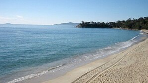 A beach with clear blue water, a sandy shore, and a forested area in the background.