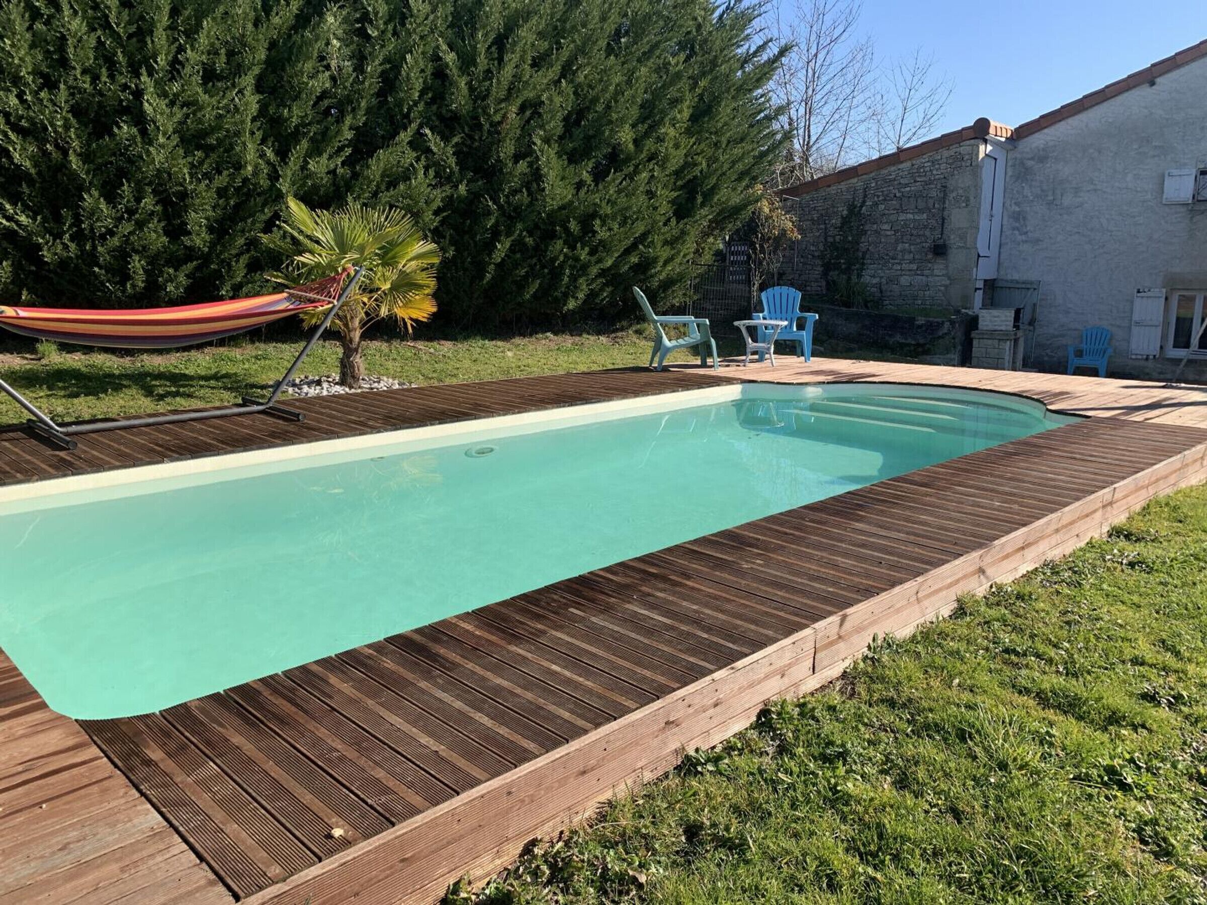 A rectangular swimming pool with a wooden deck surrounding it, a hammock, and a palm tree.