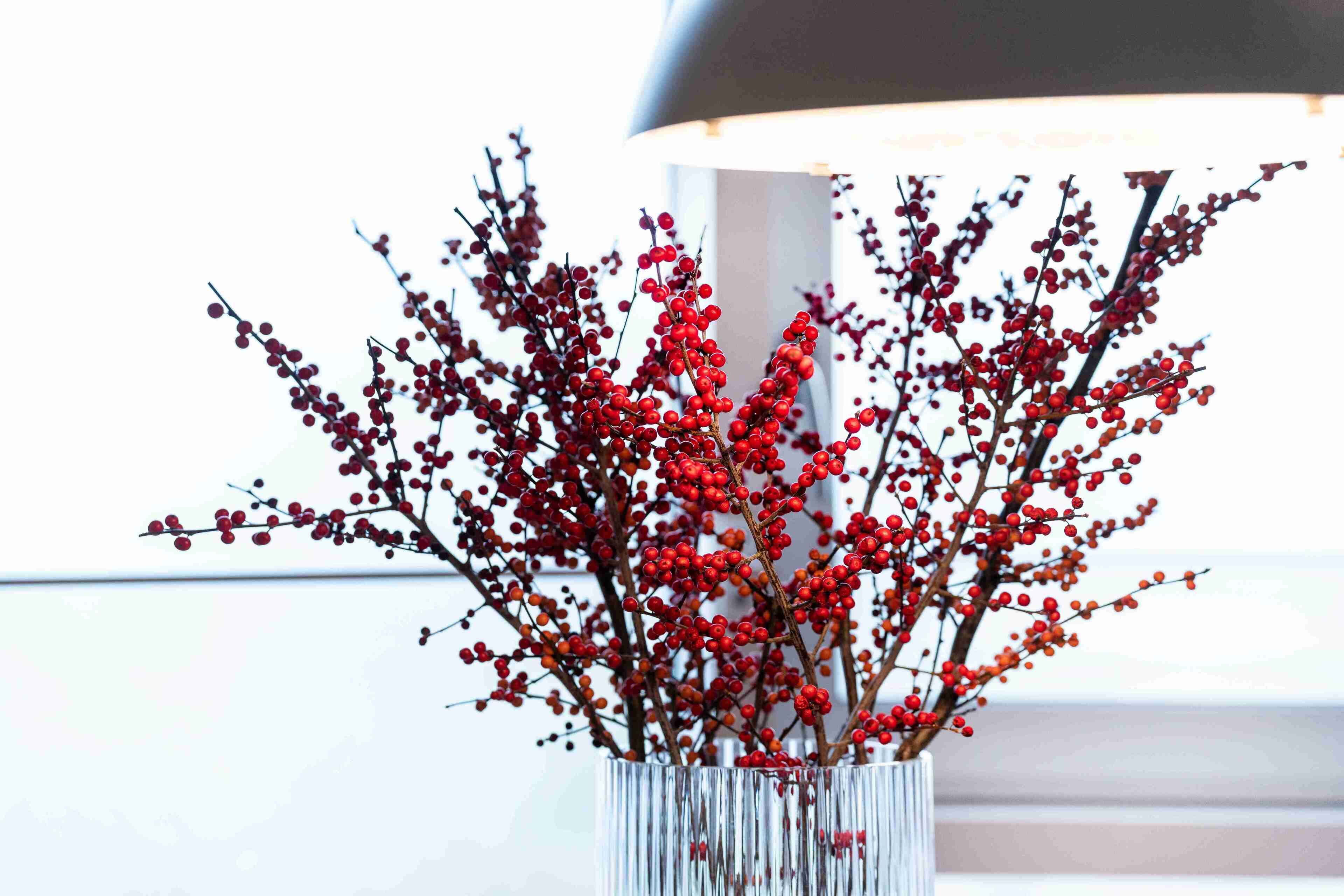 On voit clairement une pièce avec une grande fenêtre, un vase blanc contenant des baies rouges et une lampe moderne.