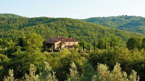 A house surrounded by dense forest on a hillside.
