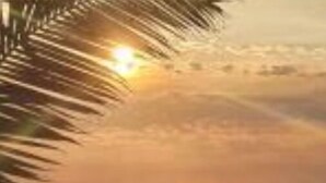 A sunset view with palm trees and a body of water. - Beachfront Inn (Winterstrand)