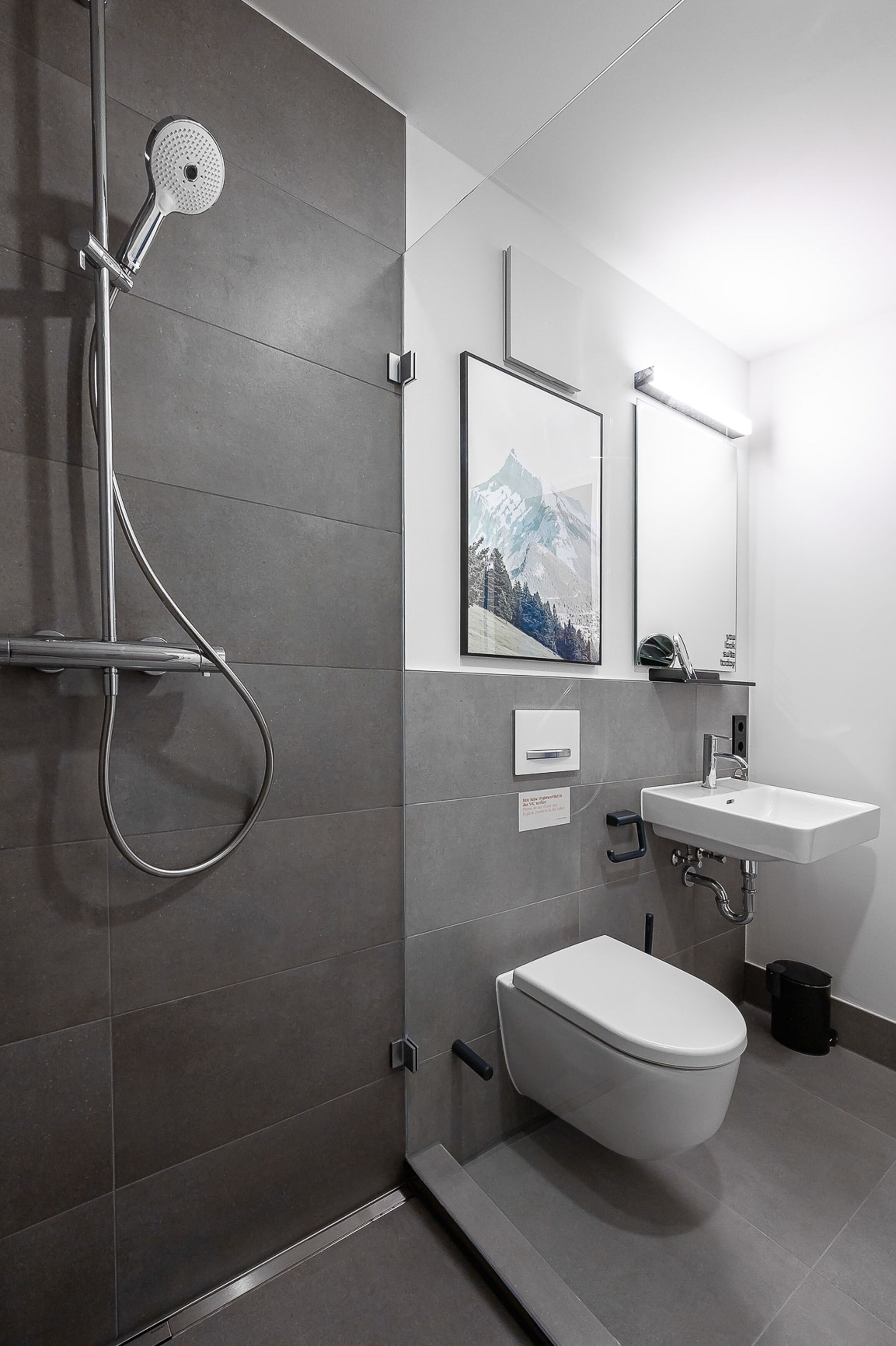Een moderne badkamer met douche, toilet, wastafel en een ingelijst schilderij aan de muur.