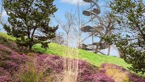 A spiral staircase surrounded by heather and pine trees on a hillside. - Limehome Stuttgart Elsenhansstr. (Stuttgart)