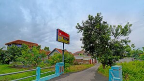 Un chemin menant à un quartier résidentiel, avec des maisons, un panneau indicateur et un grand arbre.