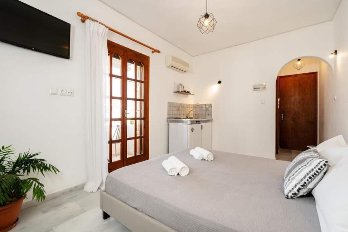 A bedroom with a bed, a potted plant, a TV, a wardrobe, and a bathroom with a shower and sink.