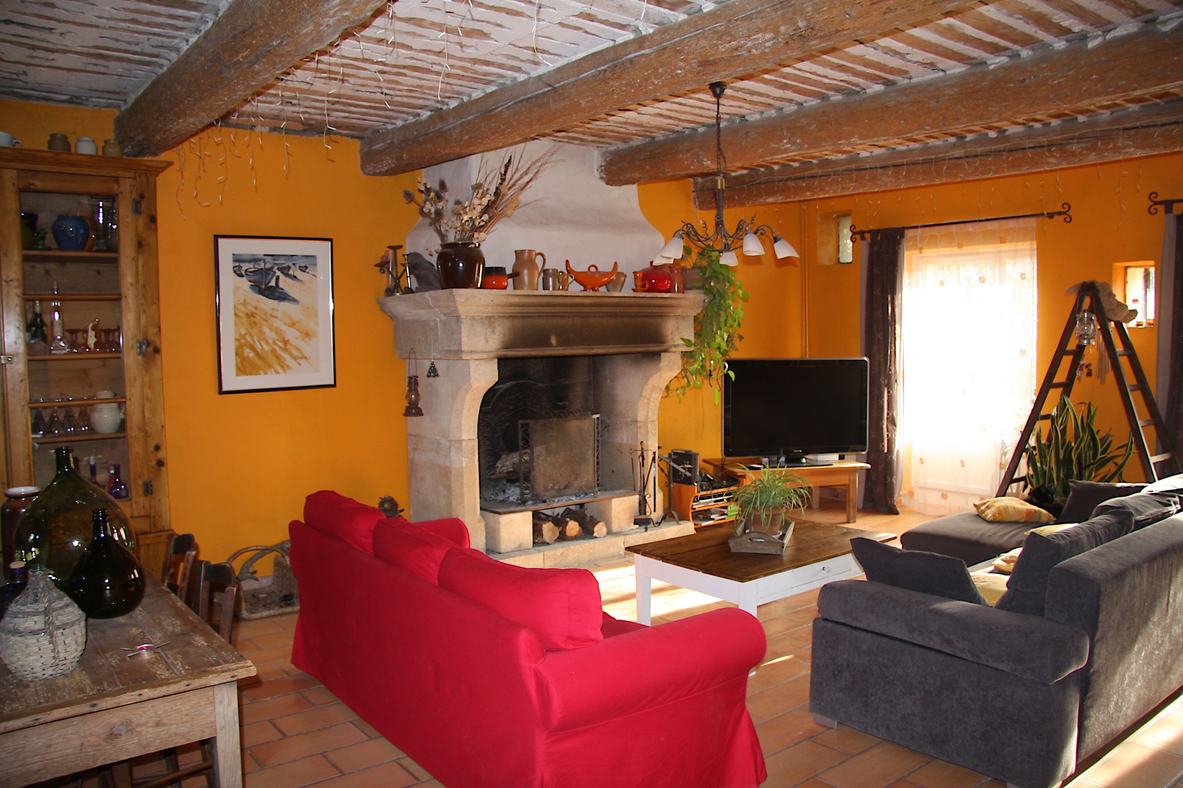 Télévision, cheminée, lecteur de DVD, table de tennis de table