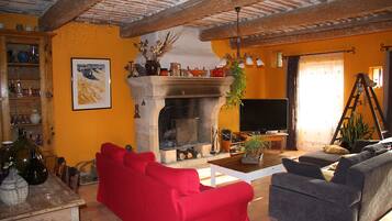 Télévision, cheminée, lecteur de DVD, table de tennis de table