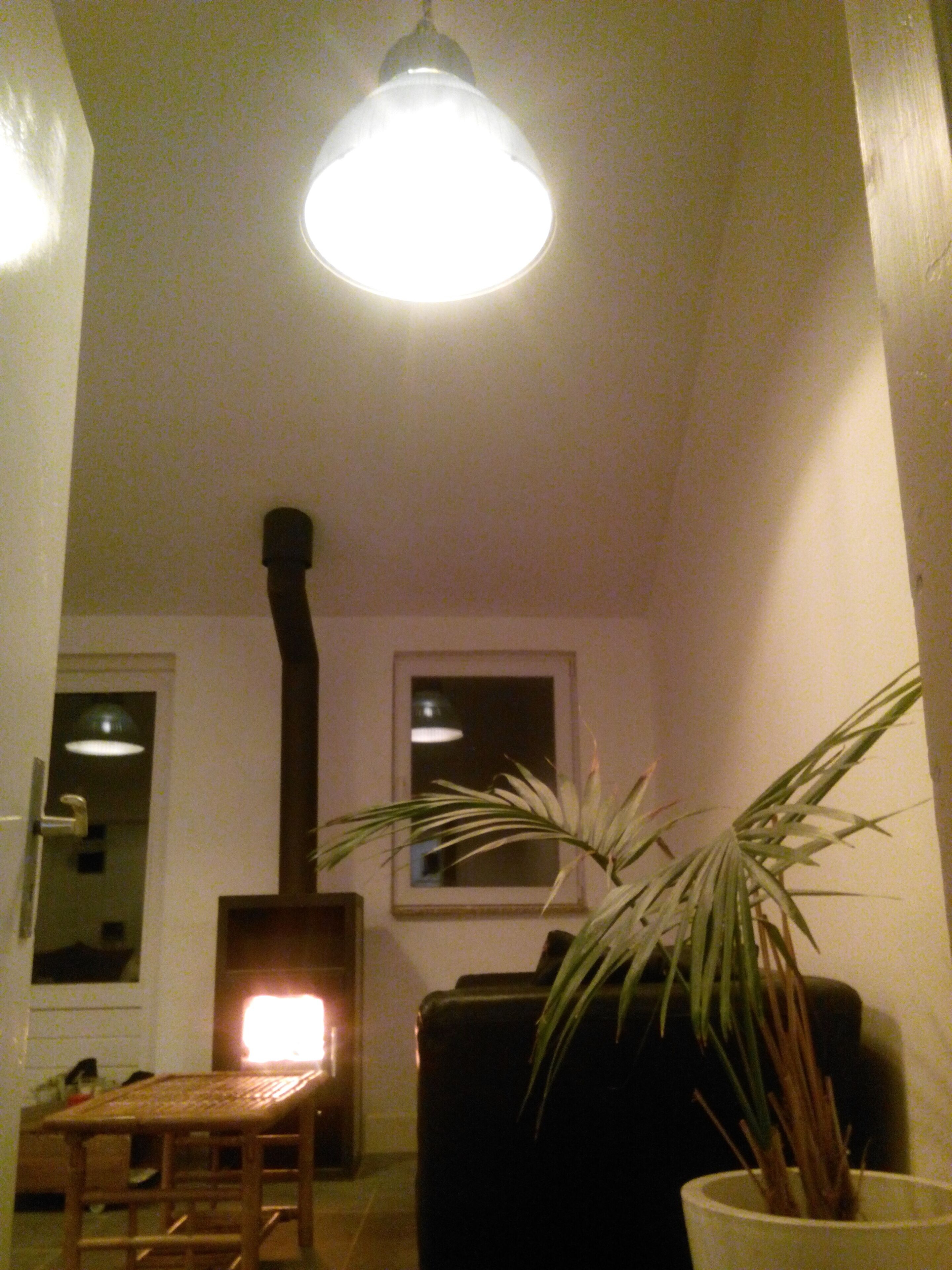 A room with a wooden table, a potted plant, a black cabinet, and a lit lamp.