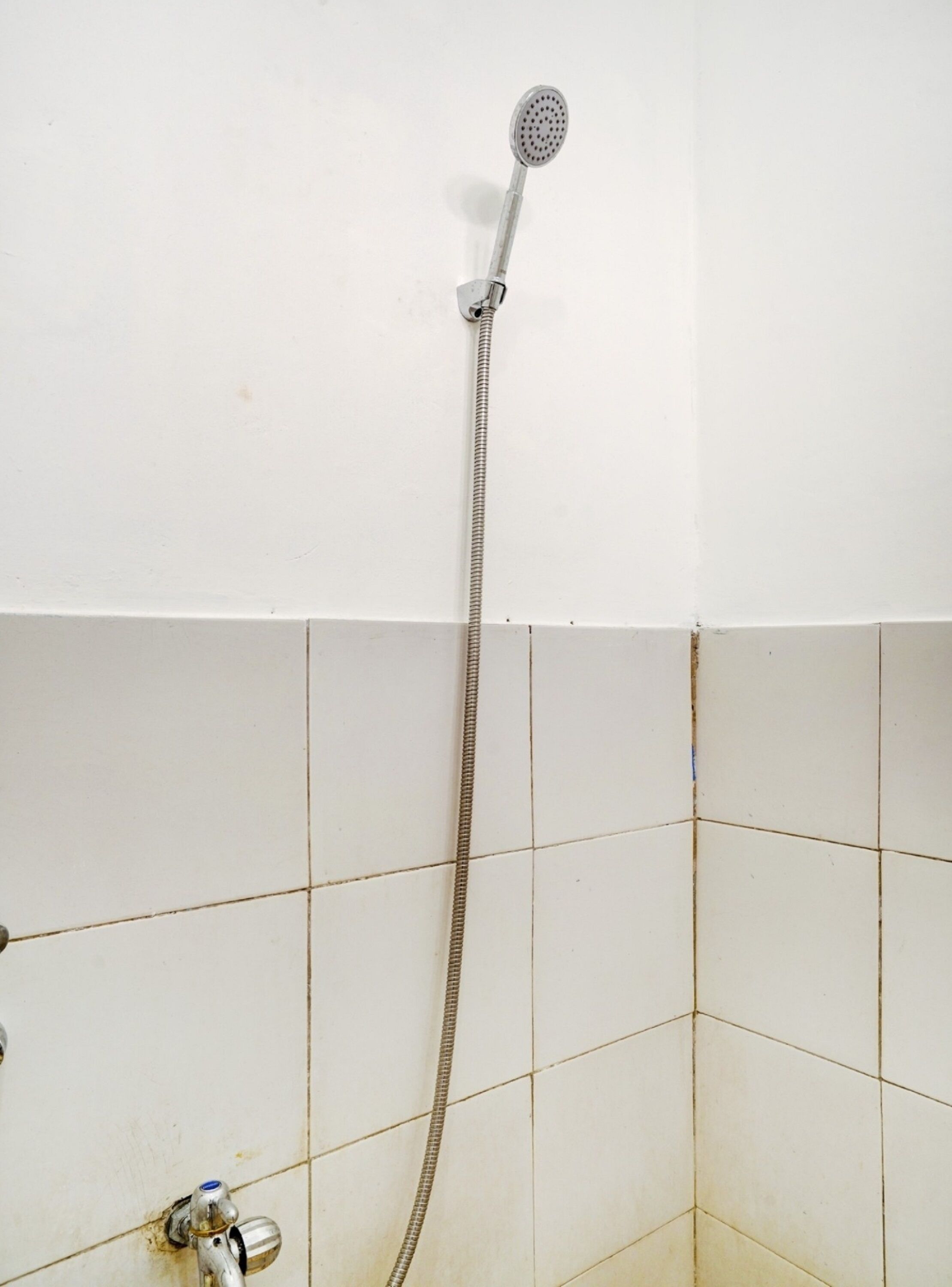 Une douche équipée d’un pommeau de douche à main et d’un flexible.