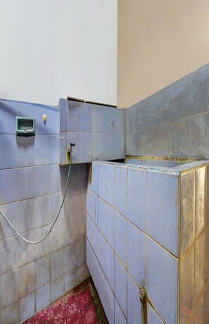 Ducha, toallas, papel higiénico